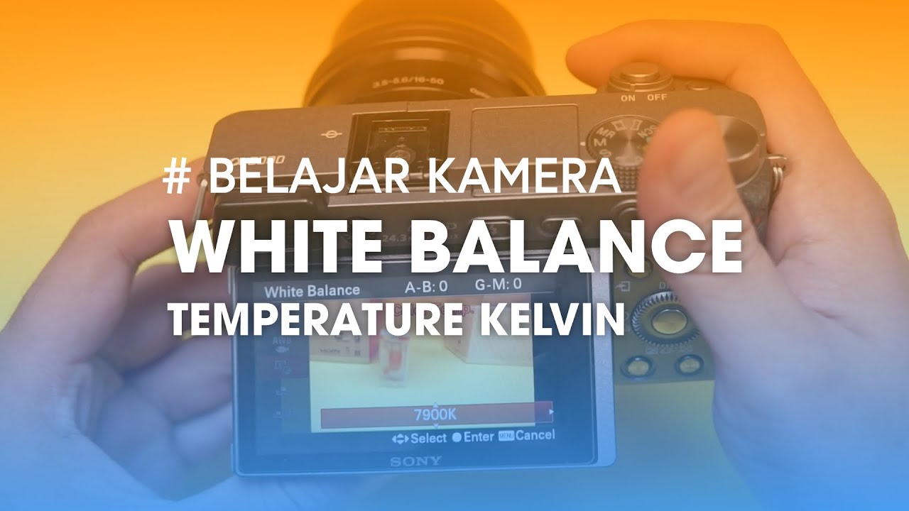 Cara Memilih White Balance Kelvin/Temperature di Kamera Mirrorless Sony