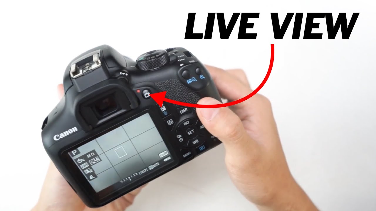 Cara Mengatasi Kamera Canon Tidak Bisa Pake Mode Layar/Live View