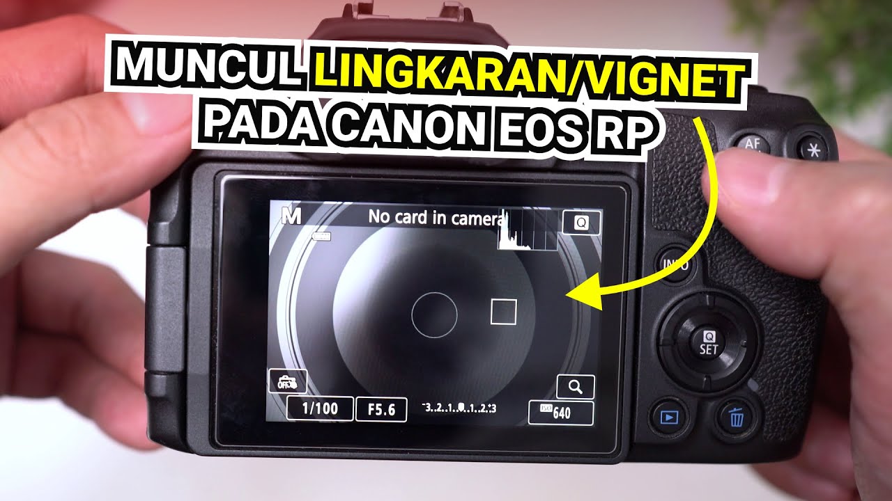 Mengatasi Kamera Canon Eos Rp Muncul Lingkaran Pada Layar Dan Hasil